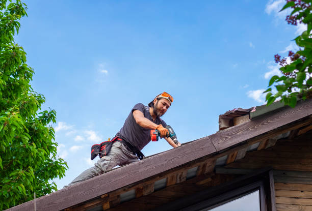 Best Steel Roofing  in Arbury Hls, IL